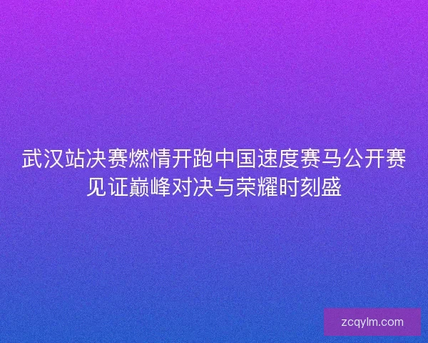 武汉站决赛燃情开跑中国速度赛马公开赛见证巅峰对决与荣耀时刻盛